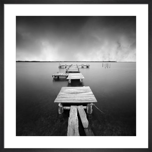 60 by 40/0.75 Deep iCanvasART 3 Piece Water Tree Xi Canvas Print by Moises Levy 60 by 40/0.75 Deep iCanvasART 3 Piece Water Tree Xi Canvas Print by Moises Levy